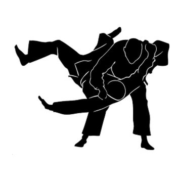 Дзюдо